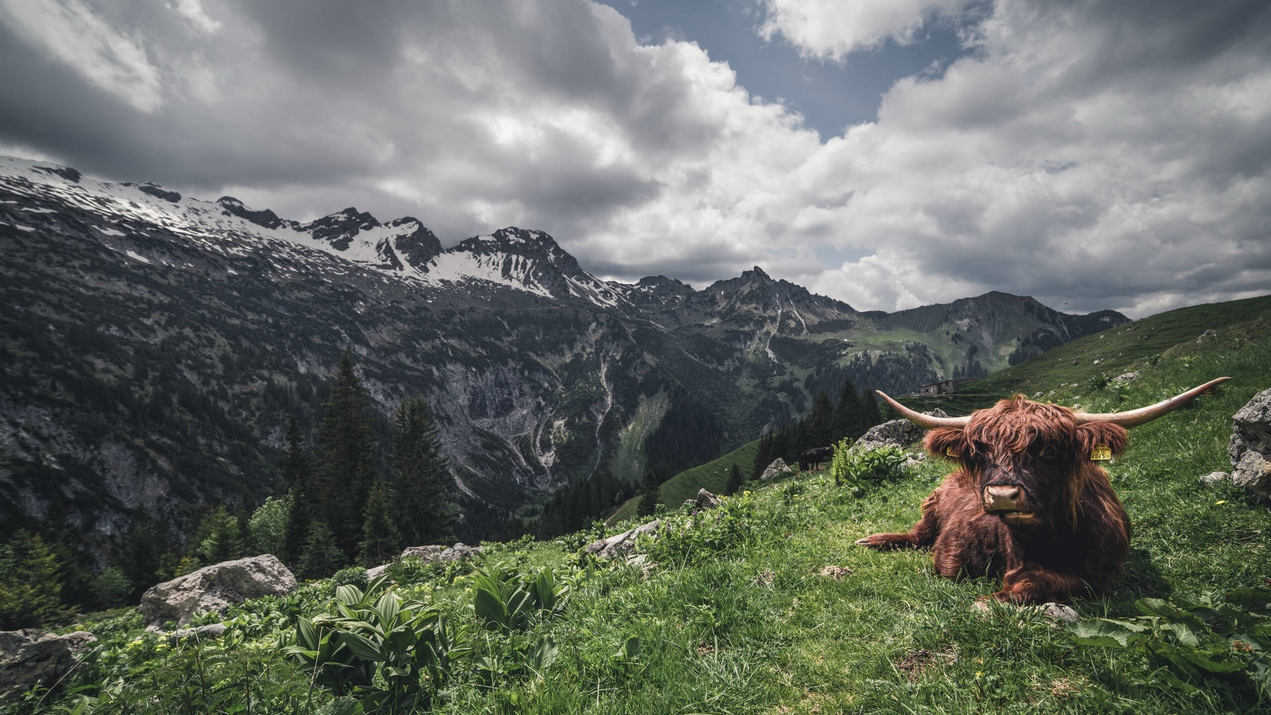 _全球体育创新展：科技引领运动未来_，体育科技创新大赛