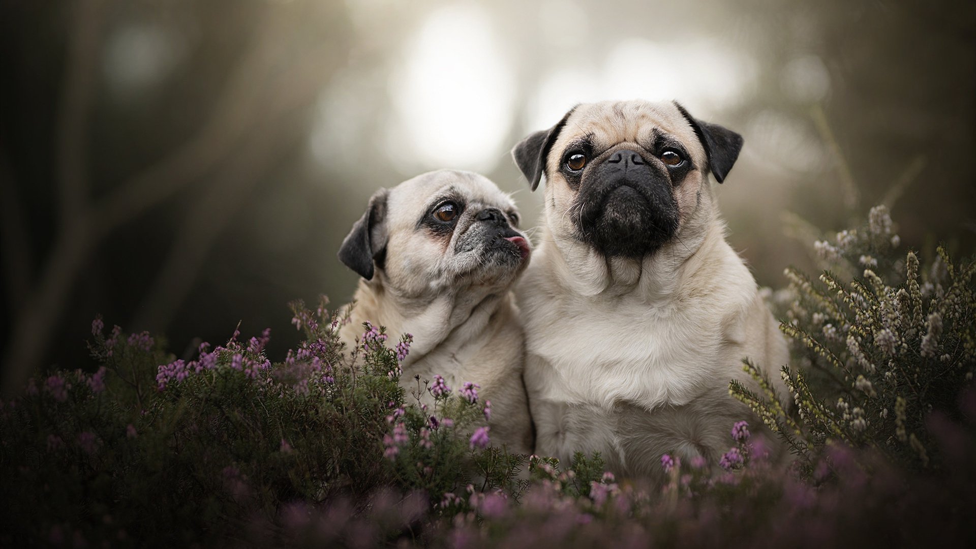 “中国女足在国际赛场上不断突破”，请问中国女足