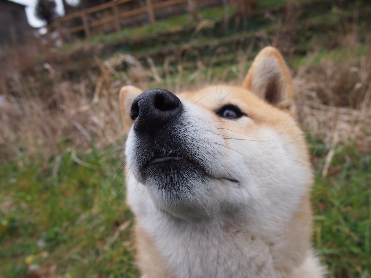 开云体育客户端-世界滑雪巡回赛中国选手再创佳绩，摘得多枚奖牌，国际滑雪冠军
