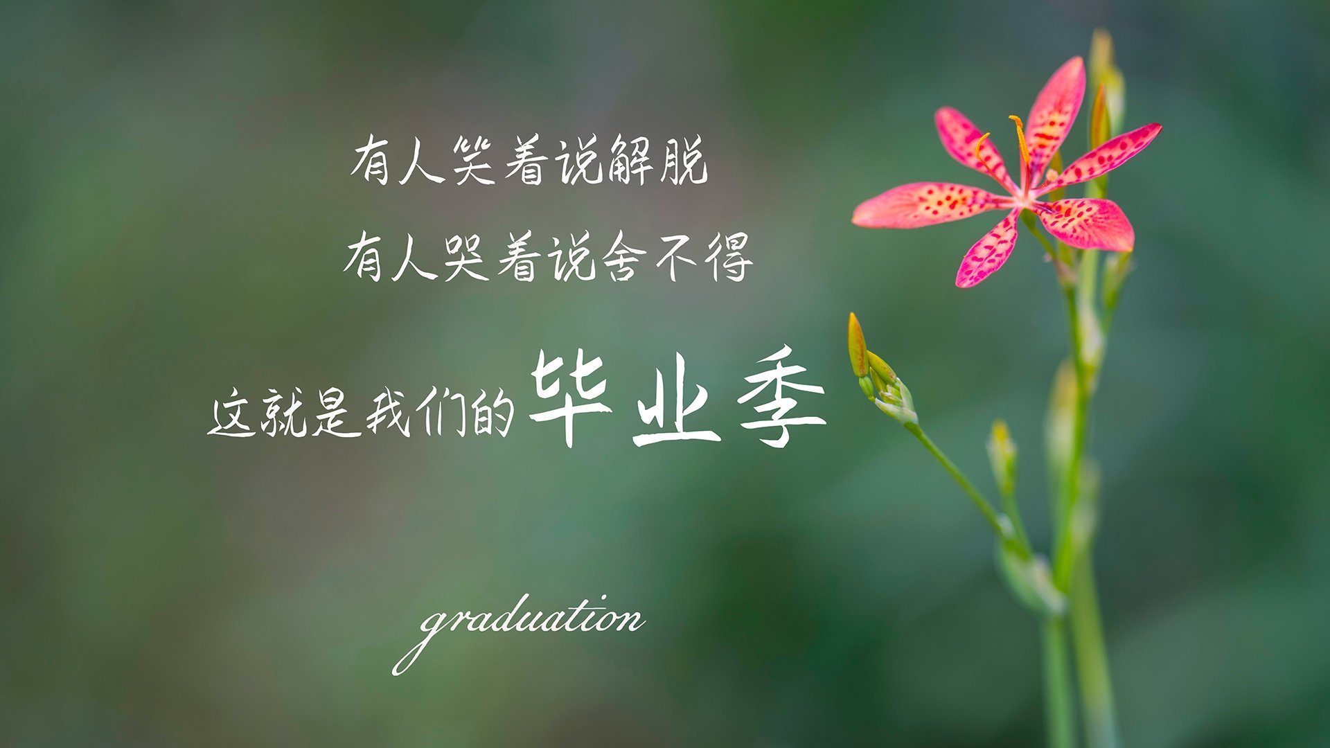 体育化校园新风尚，篮球运动在全国高校广泛普及，校园篮球文化发展现状