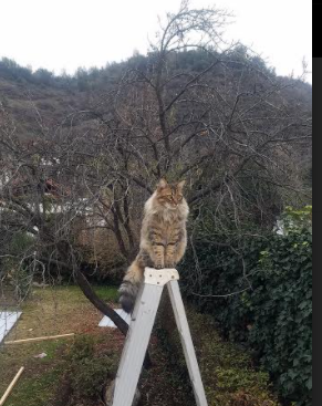 南方地区篮球发展迅速,赛事频繁引关注,南北方篮球比赛