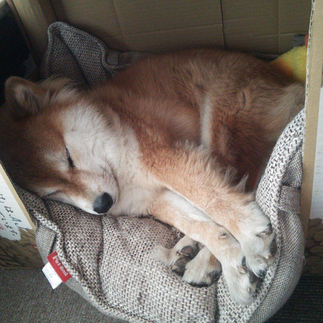 -法甲豪门豪掷千金，打造欧洲最强阵容，欧洲杯法国当家球星