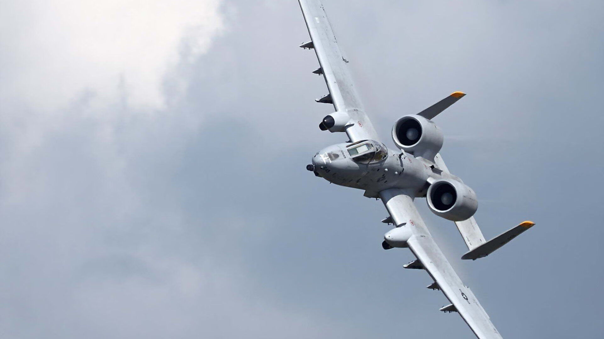 荷兰骑手 Dinja van Liere 在巴黎奥运会盛装舞步比赛中获得第六名,展现出色表现。