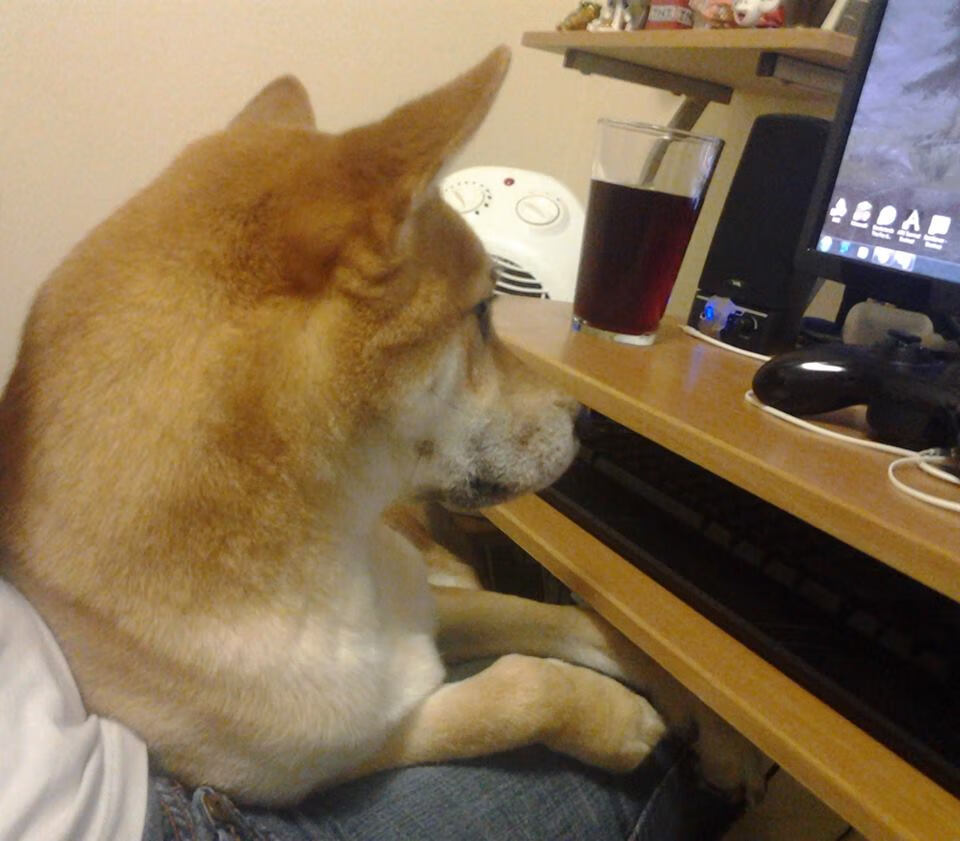 开云体育下载-Astralis 与丹麦零售商 Elgiganten 合作，举办线下活动，丹麦alk