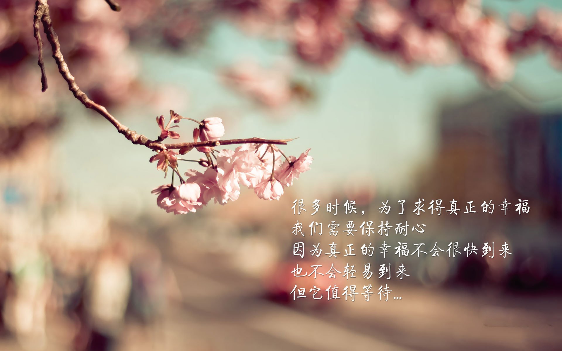 kaiyun app-中国足球的场地设施建设规划方案实施方案实施，我国足球场地设施建设的现实困境及其破解对策