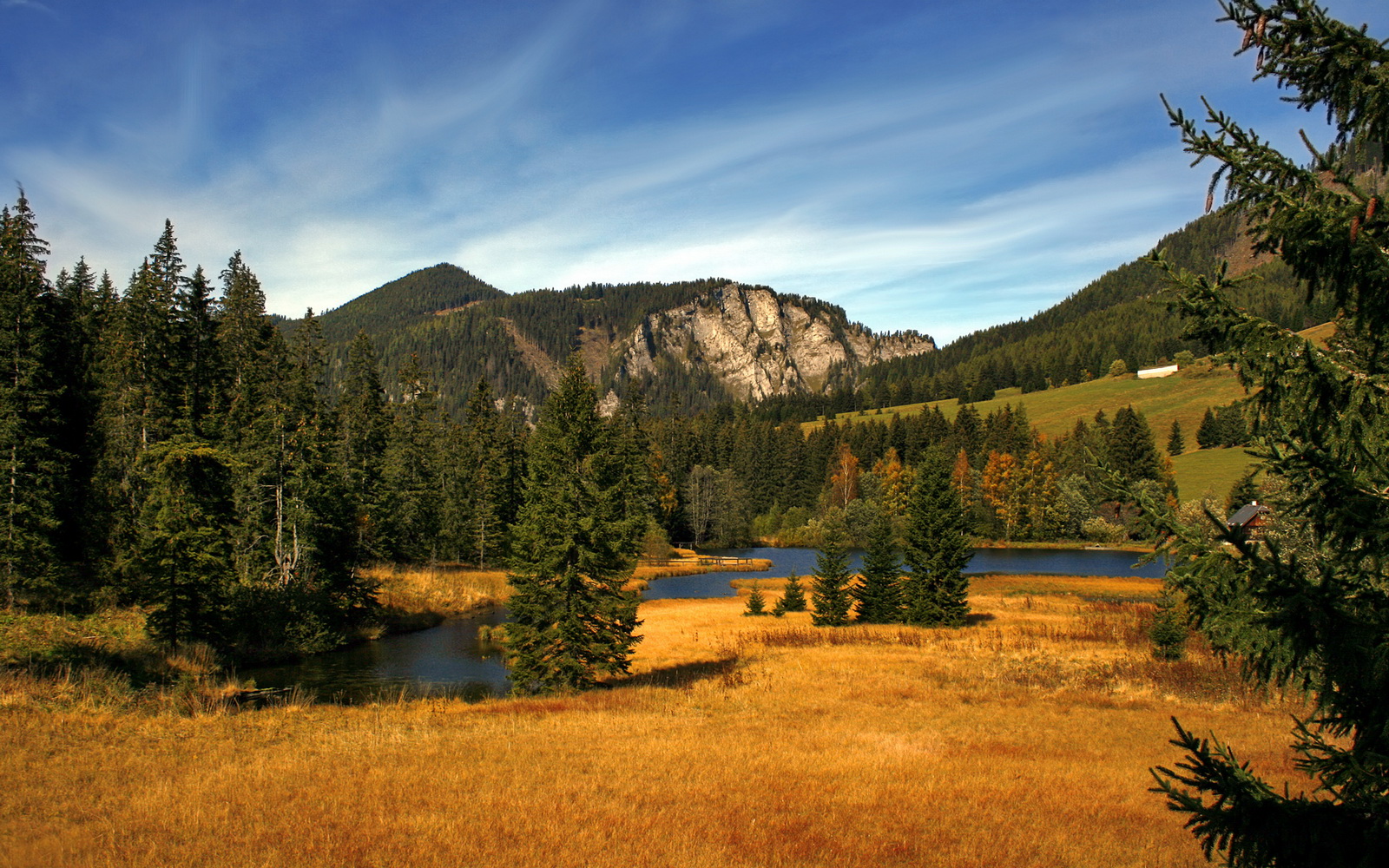 开云app安全认证-勒沃库森球队客场逆袭，大胜强敌领跑积分榜，勒沃库森球队图片