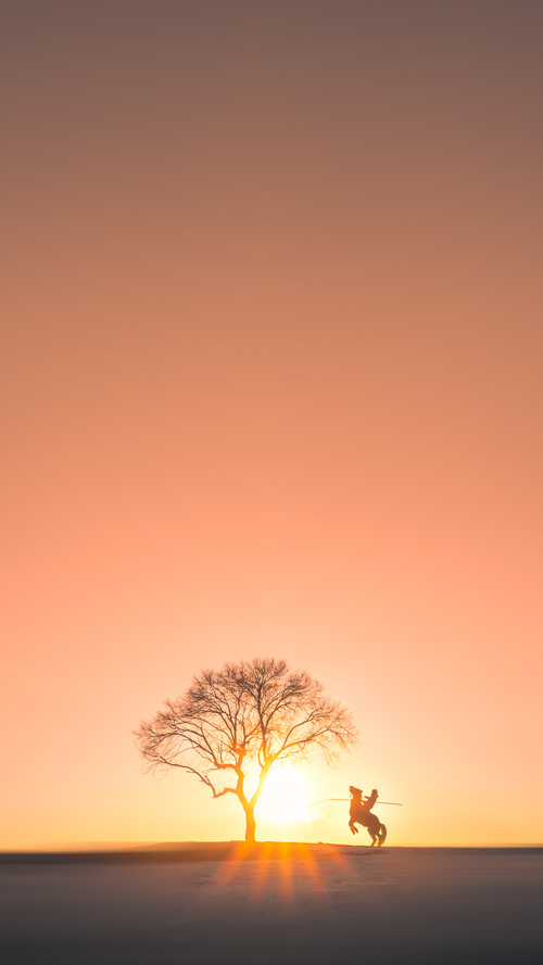 开云APP下载-女足新战术体系初见成效，女足技术