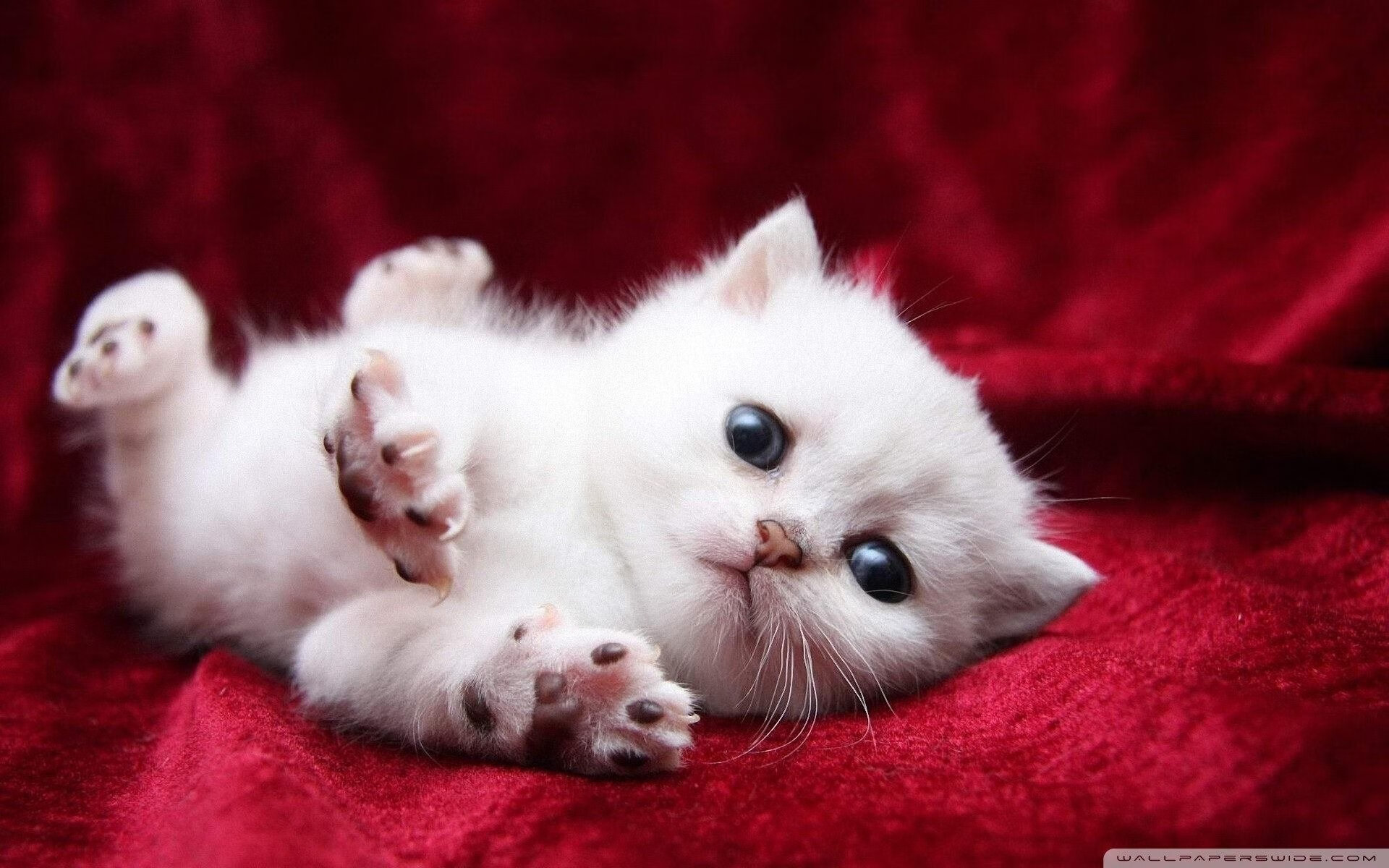 kaiyun-山东高速主场优势发挥显著，山东高速新项目