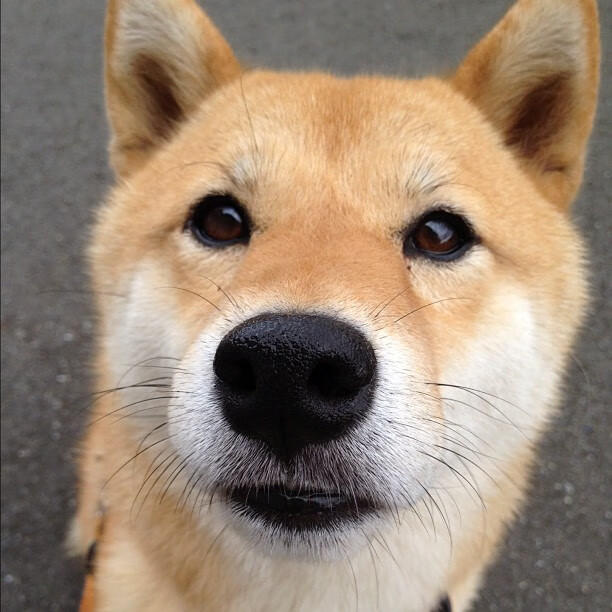 强队对决引人期待,胜负之间谁能笑到最后,强队什么