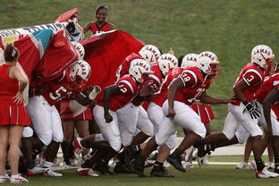 开云体育安全平台-世界青少年庆典运动会精彩纷呈，青春无悔，2021年世界青年运动会在哪里举办