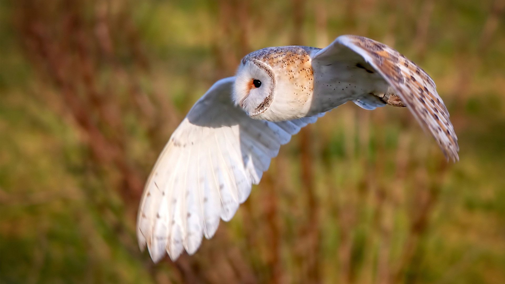 中超球队主客场表现差异，中超联赛主客场