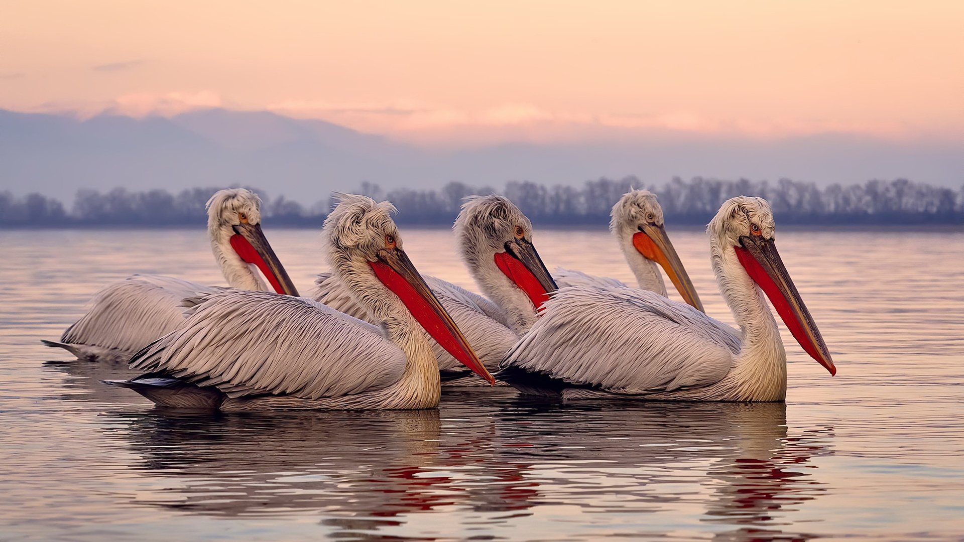开云APP下载-世界杯中国队逆袭 球员拼搏精神鼓舞人心，世界杯中国队前景