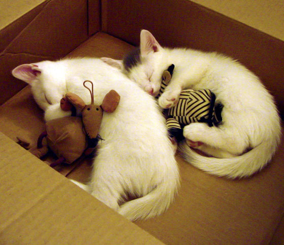 五大联赛后场出球传接次数是否显著影响中场站位质量，球队从后场接到球开始包括重新发球