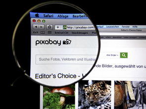 开云体育官方app-体育新闻中心发布体育短视频传播效果白皮书，体育短视频成为平台和用户的新宠